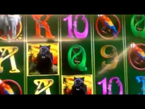 Novoline Jungle Freispiele auf 2€ Vollbild