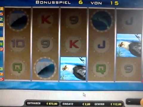 Endless Summer   super Freispiele auf 2€