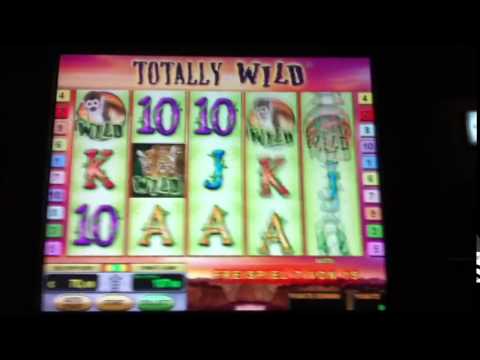 Totally Wild 1€ Einsatz einfach nur geil 8.4.2026