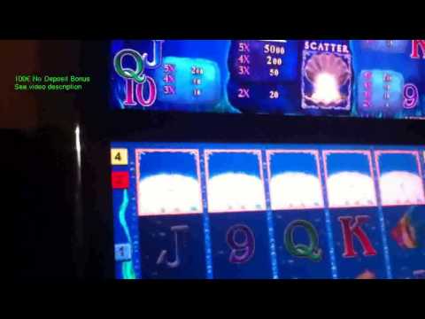 Dolphins Pearl 5 Scater in Freispielen 2026